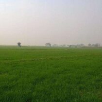 Rahim Yar Khan