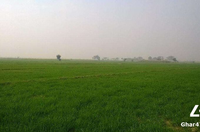 Rahim Yar Khan