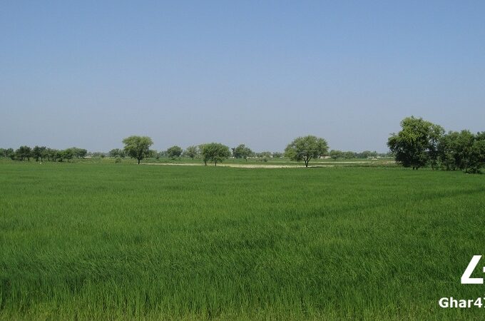 Agricultural Land for Sale