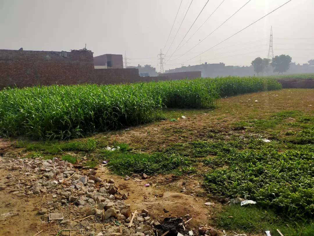 20 Kanal Agriculture land for Sale in Gulshan-e-Ahbab Lahore
