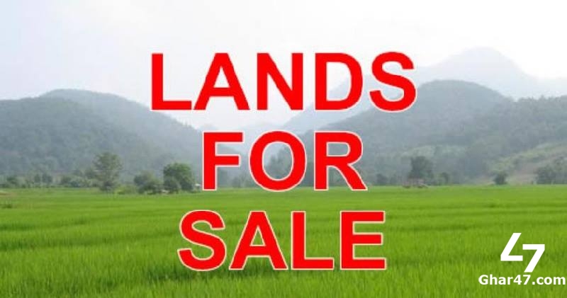For Sale 10 Marla Residential Plot DHA Phase 7, U Block Lahore