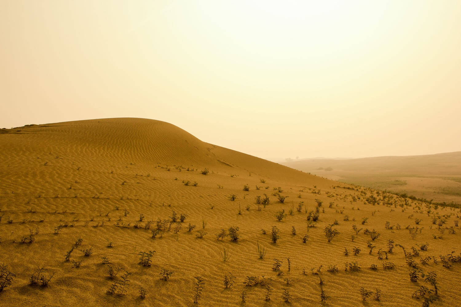 Thal Desert