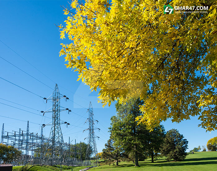 Greenery near Electric and Power lines 