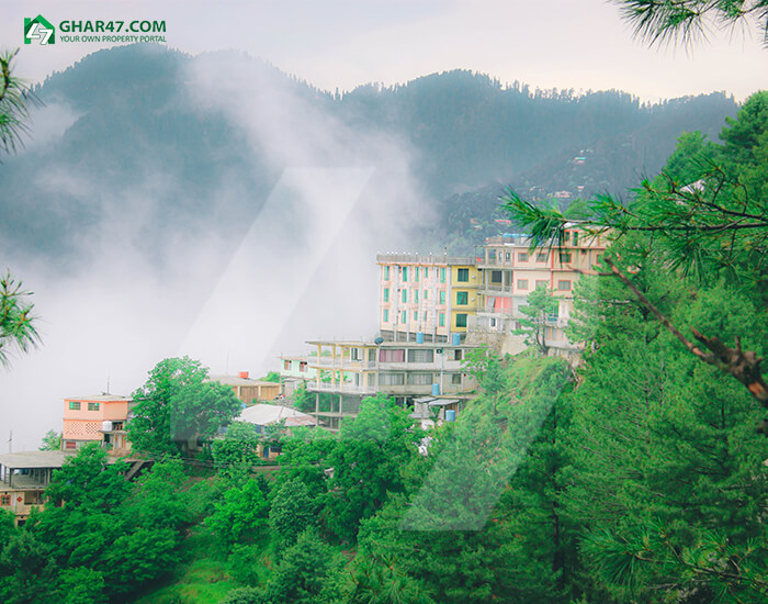 Beauty on Mall Road Murree