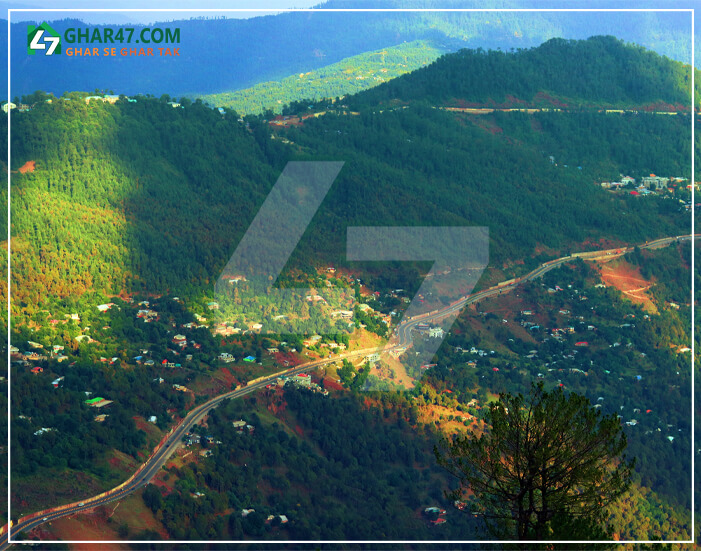 Invest in murree